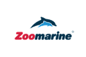Offerta Zoomarine: biglietti + esperienza con i delfini a soli 26 € con Tiqets