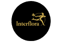 Interflora promozione: collezione di rose stabilizzate da 49,99 €